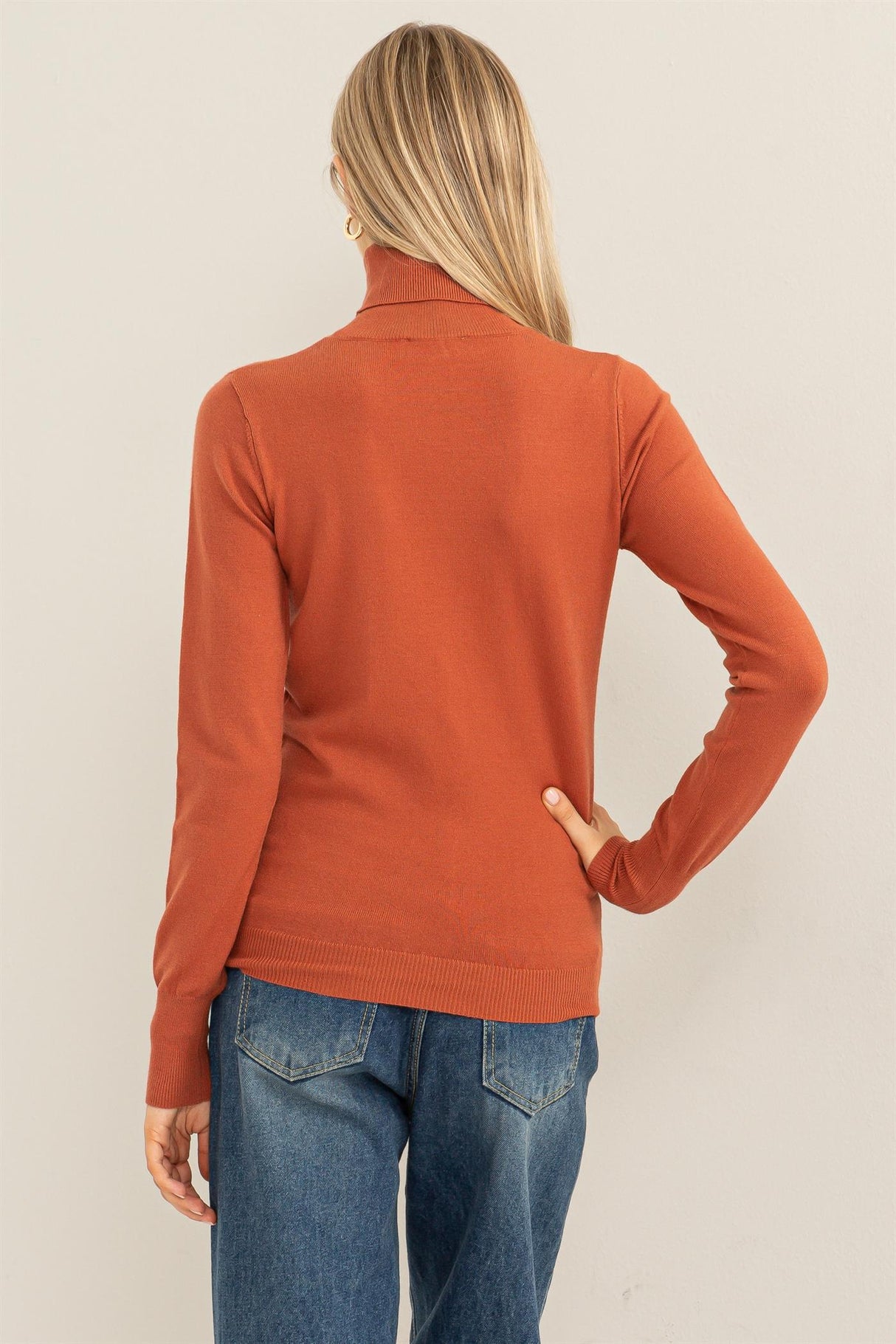 Chic Position Turtleneck Sweater Top