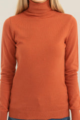 Chic Position Turtleneck Sweater Top