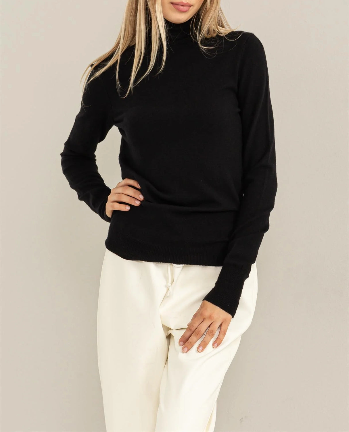 Chic Position Turtleneck Sweater Top