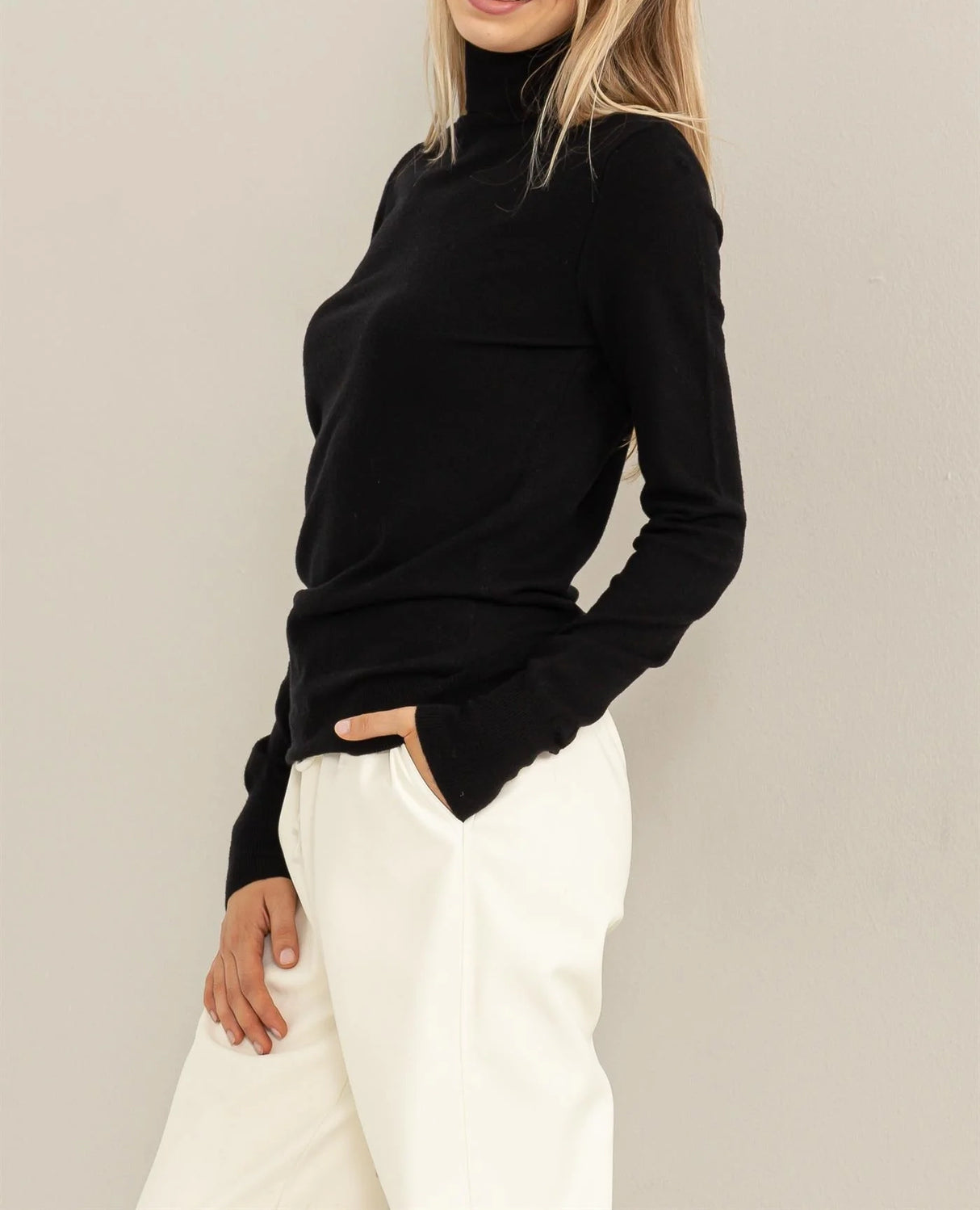 Chic Position Turtleneck Sweater Top