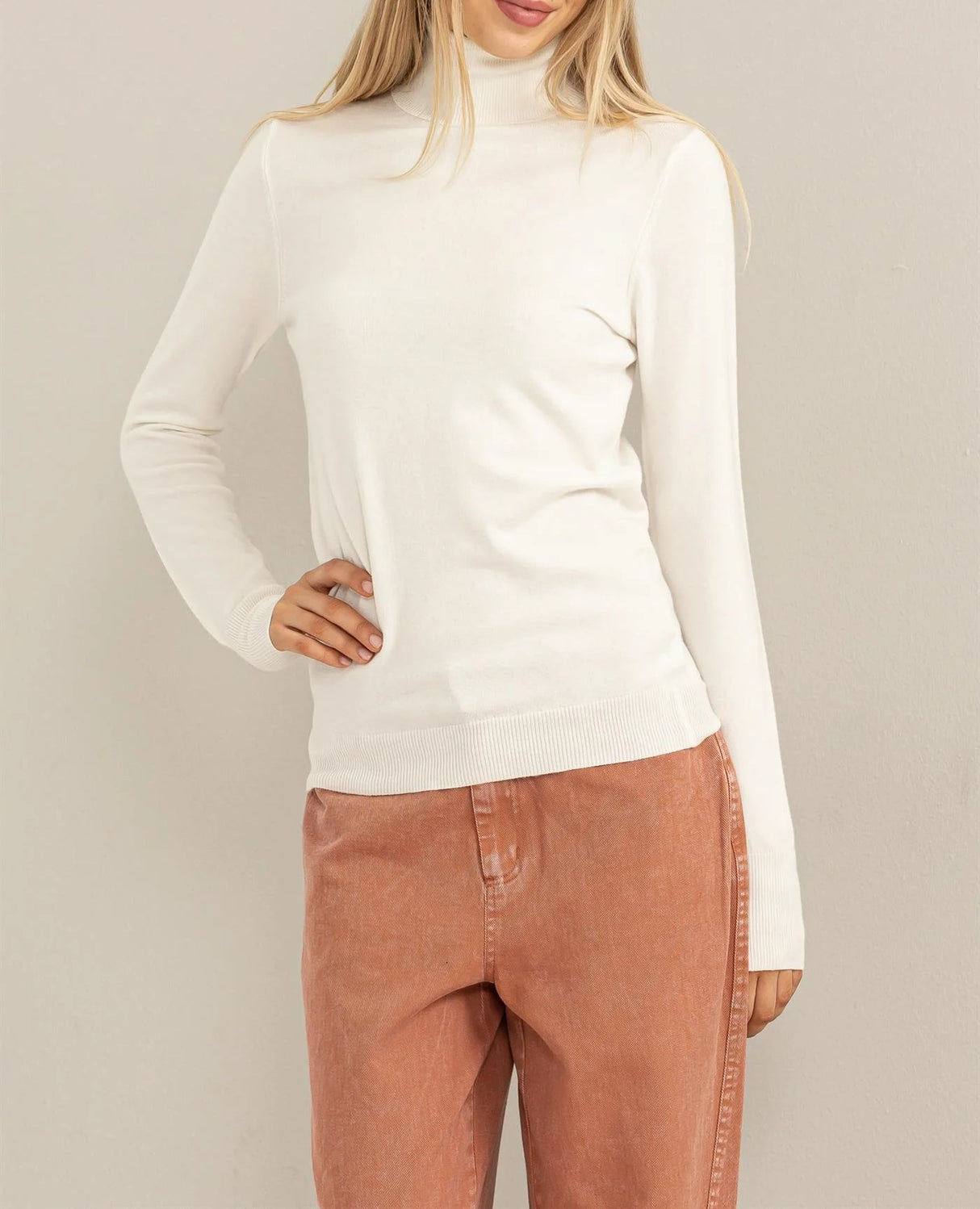 Chic Position Turtleneck Sweater Top