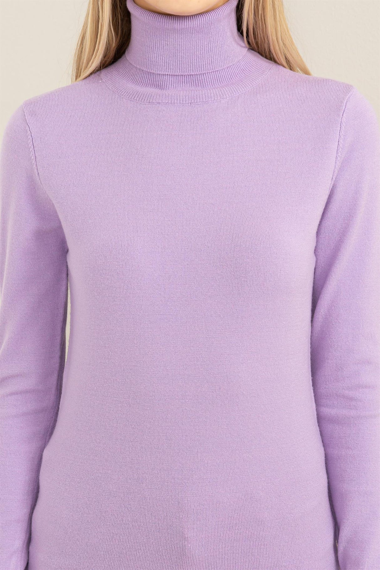 Chic Position Turtleneck Sweater Top